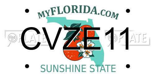 CVZE11 Florida License Plate