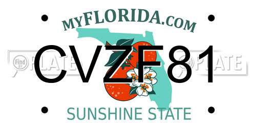 CVZF81 Florida License Plate