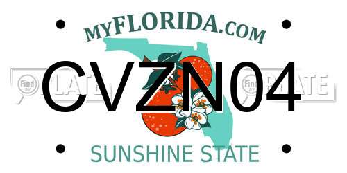 CVZN04 Florida License Plate