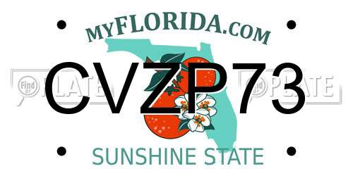 CVZP73 Florida License Plate