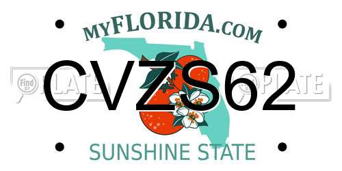 CVZS62 Florida License Plate