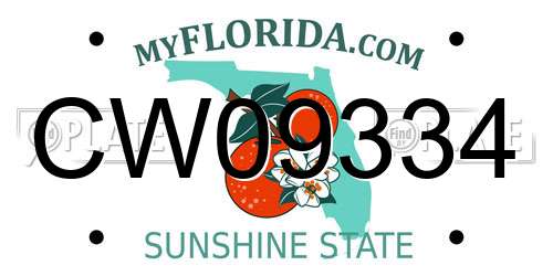 CW09334 Florida License Plate