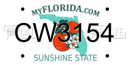 CW3154 Florida License Plate