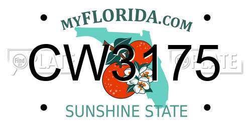 CW3175 Florida License Plate