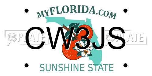 CW3JS Florida License Plate