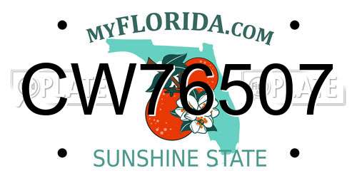 CW76507 Florida License Plate