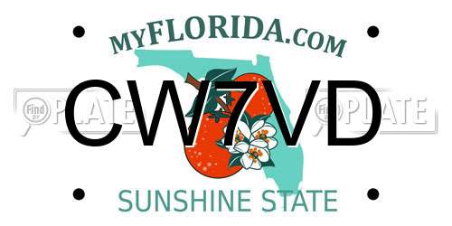 CW7VD Florida License Plate
