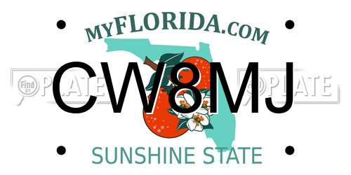 CW8MJ Florida License Plate