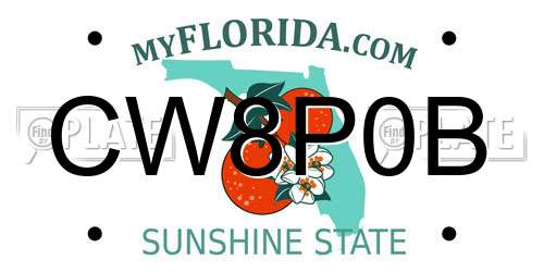 CW8P0B Florida License Plate