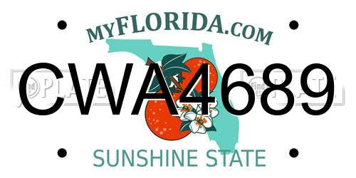CWA4689 Florida License Plate