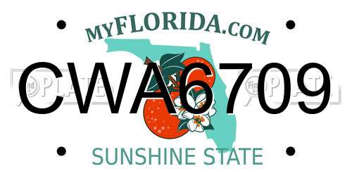 CWA6709 Florida License Plate