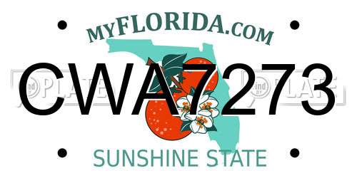 CWA7273 Florida License Plate