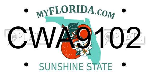 CWA9102 Florida License Plate