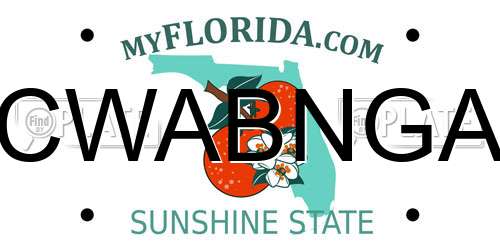 CWABNGA Florida License Plate