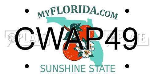 CWAP49 Florida License Plate