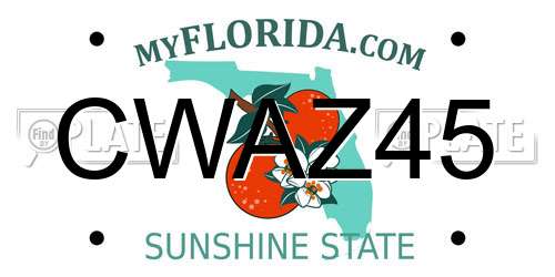 CWAZ45 Florida License Plate