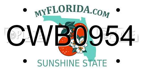CWB0954 Florida License Plate