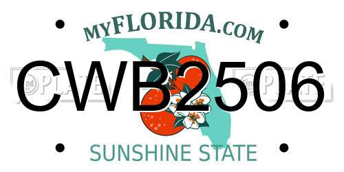 CWB2506 Florida License Plate