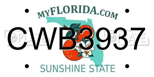 CWB3937 Florida License Plate