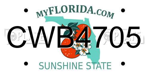 CWB4705 Florida License Plate