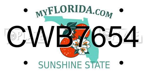 CWB7654 Florida License Plate