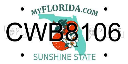 CWB8106 Florida License Plate