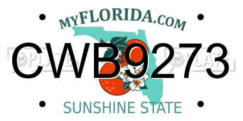 CWB9273 Florida License Plate