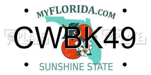CWBK49 Florida License Plate