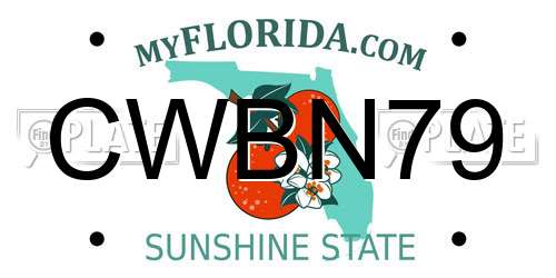 CWBN79 Florida License Plate