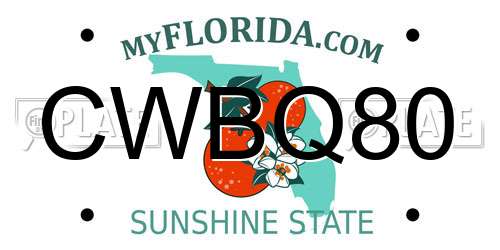 CWBQ80 Florida License Plate