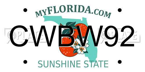 CWBW92 Florida License Plate