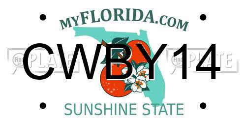 CWBY14 Florida License Plate