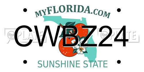 CWBZ24 Florida License Plate