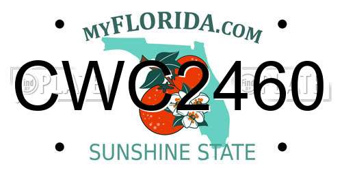 CWC2460 Florida License Plate