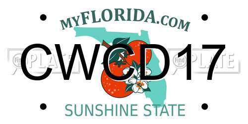 CWCD17 Florida License Plate
