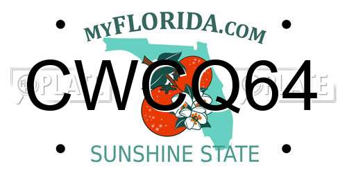 CWCQ64 Florida License Plate