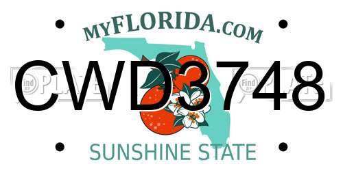 CWD3748 Florida License Plate