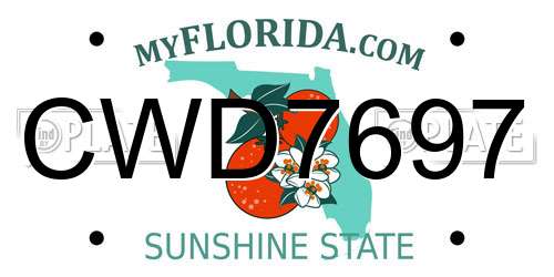 CWD7697 Florida License Plate