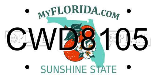 CWD8105 Florida License Plate