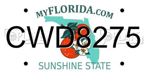 CWD8275 Florida License Plate
