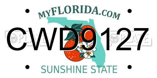CWD9127 Florida License Plate