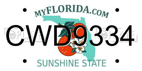 CWD9334 Florida License Plate