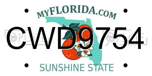 CWD9754 Florida License Plate