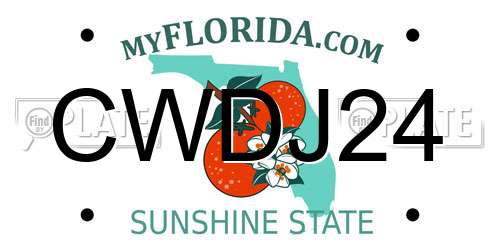 CWDJ24 Florida License Plate