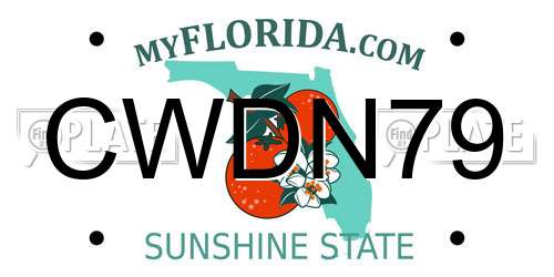 CWDN79 Florida License Plate