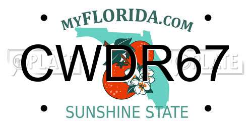 CWDR67 Florida License Plate