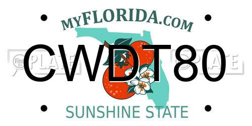 CWDT80 Florida License Plate