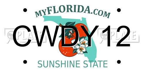 CWDY12 Florida License Plate