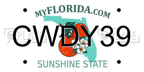 CWDY39 Florida License Plate