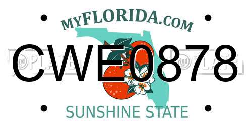 CWE0878 Florida License Plate